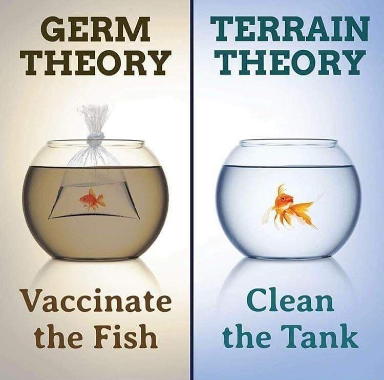 Germ Theory is a LIE! The Terrain is Everything!