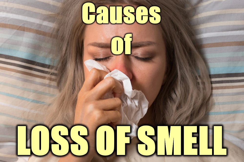 your-sense-of-smell-more-important-than-you-think-hubpages